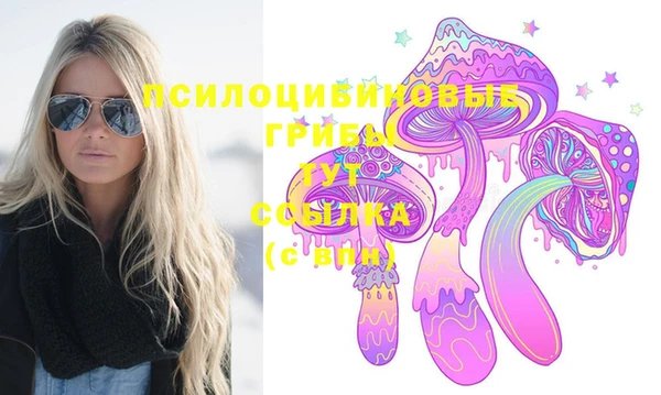 синтетический гашиш Белокуриха