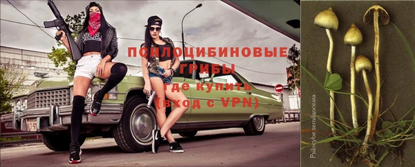 spice Беломорск