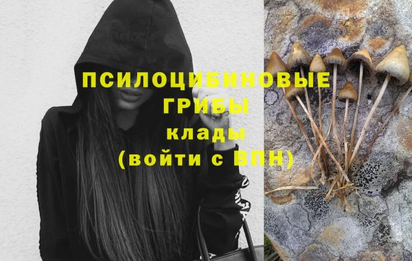 синтетический гашиш Белокуриха