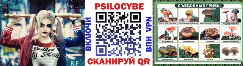 Псилоцибиновые грибы мицелий  как найти   мега как зайти  Красный Кут 
