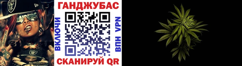 Каннабис планчик Красный Кут